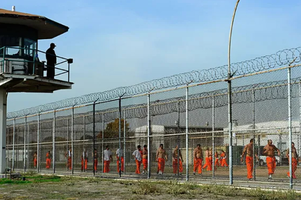 დაწესებულების ტიპები”