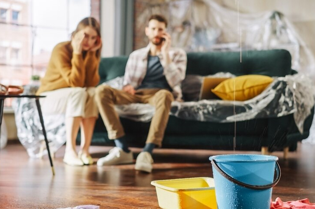 რა არის დელიქტი”